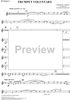 Trumpet Voluntary - Trumpet 3
