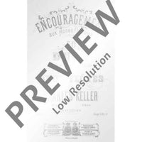 Encouragement for young flautists - Performing Score