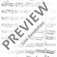 Concerto d minor - Cello