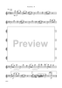 Dancin' Into The '20s: IV. Hunkatin - A Half Tone One-Step - Piccolo/Flute