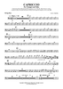 Capriccio - String Bass