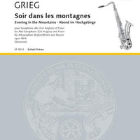 Evening in the Mountains