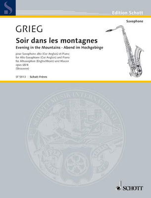 Evening in the Mountains