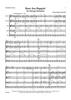 Bees Are Boppin’ for String Orchestra - Score