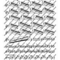 100 Technical Paraphrases on Kreutzer-Etudes