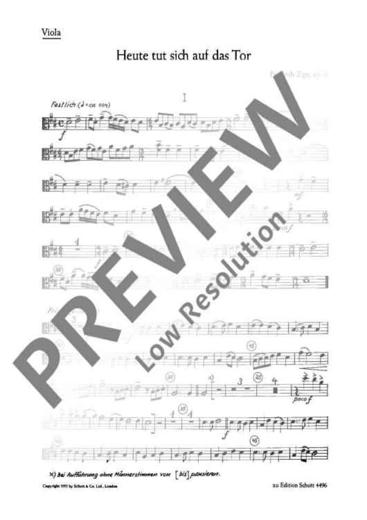 Heute tut sich auf das Tor - Viola