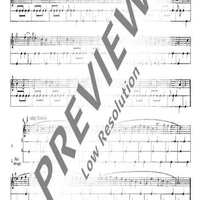 Pieces for Recorder and Drum - Performing Score