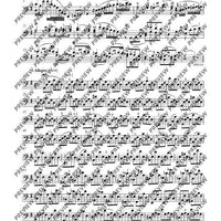 24 Caprices in all keys