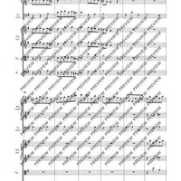 Concerto grosso E minor - Full Score