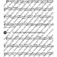 Irish Folk Tunes for Descant Recorder