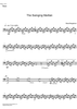 The Swinging Martian - Accordion 4
