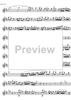 Concerto No. 2 C Major KV314 - Flute