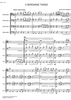 Serenade Tango - Score