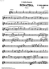Sonatina Op. 60 - Flute