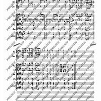 Concerto E Major - Score