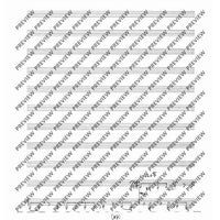 Collected Studies for Player Piano