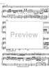 Concerto No. 1 G Major KV313 - Score