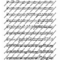 Concerto E Minor - Set of Parts