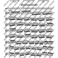 100 Short Technical Paraphrases on Kayser's Etudes