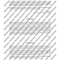 The Flute Expedition