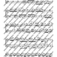 Duo D major - Performing Score