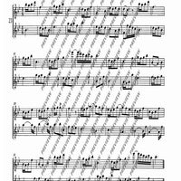 The Flourishing Baroque Period - Performing Score