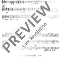 Hobbies - Guitar/accordion