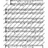 Nine flute duets - Performing Score