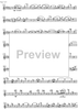Sonata quasi una rapsodia - Flute