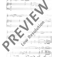 Introduction, Theme and Variations