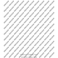 Adiantum Capillus-Veneris I (Maidenhair fern I)