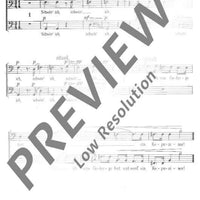 Ständchen für Don Quixote - Bass I / Ii / Iii