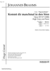 Kommt dir manchmal in den Sinn Op.103 No. 7