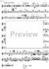 Variazioni su un tema di Prokofiev - Flute 2