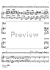 Concerto in G Minor for Basoon, Strings and Cembalo - Piano Accompaniment
