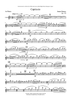 Capriccio, Op. 170 - Flute 1