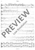 Concerto Grosso - Violin/Double Bass
