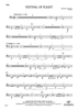 Festival of Flight - Tuba