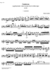 Cadenza Concerto No. 9 Bb Major  1st and  3rd movement - Cello