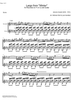 Largo from Winter - Score