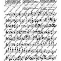 100 Technical Paraphrases on Kreutzer-Etudes
