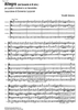 Allegro (from Concerto in B minor) - Score