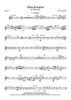Vista Encanto - Flute 3