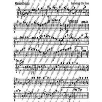 Holledauer Marsch/ Waldler-Marsch - Set of Parts