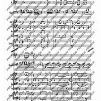 Concerto E Major - Score
