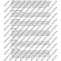 The Irish Flute Book