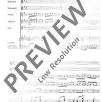 Concerto G Major - Score