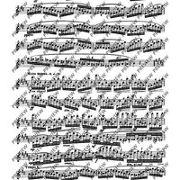 The Flutist's Progress