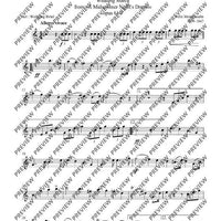 Classical Highlights for Flute