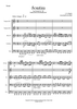 Sonatina - Score